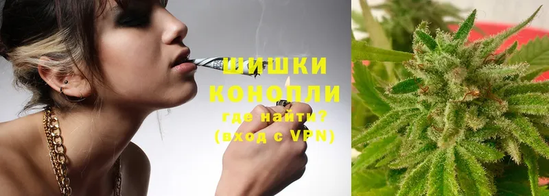 Бошки марихуана THC 21%  Реутов 